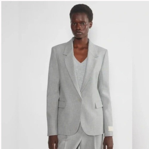 Babaton Aritzia Producer Blazer Jacket Heather Chrome Light Grey Size 10 NWT - Picture 2 of 13