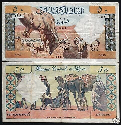 ALGERIEN 50 DINAR P-124 1964 KAMEL gebraucht GROSSE Größe SELTENE WELTWÄHRUNG BANKNOTE - Bild 3 von 3