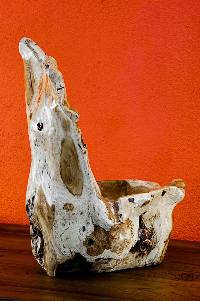 Wurzelholz Schale Übertopf Teak Holz Schale Orchideen Topf Dekoration Blumentopf - Bild 4 von 4