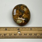 Bild 12 von 12