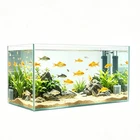 19.3 X 11 X 11" Ultra Clear Glass Aquarium 10 Gallon Rimless Fish Tank 6MM Glass