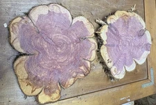 2 Live Edge Red Cedar Rounds, Cookies, Wood Working, Craft Wood, 10"-13"x 1 1/2"