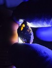 NWA 16774 Pallasite Meteorite 0.932g End Cut | Colorful Olivine Crystals | COA — photo 2