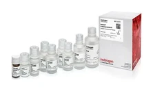 New Thermo Fisher Invitrogen Dynabeads HLA Cell Prep II 21903 20(2mL) 2024-12-31