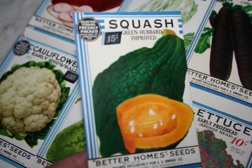 10 Vintage 1934 "Better Homes" Fruit Vegetable Seed Packets Crosman Seed Co. NOS - Picture 4 of 11