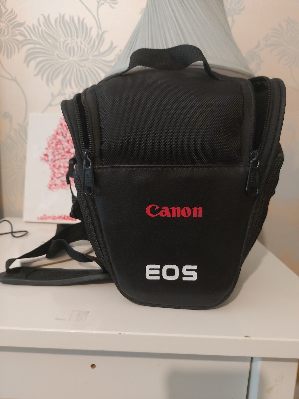 Canon EOS 40D 10.1MP Digital SLR Camera With Carry Case 8714574508757