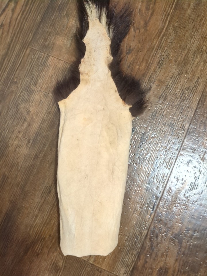 Wild Skunk Fresh Tanned Hide Soft Leather Craft Pelt Fur Fresh TANNED