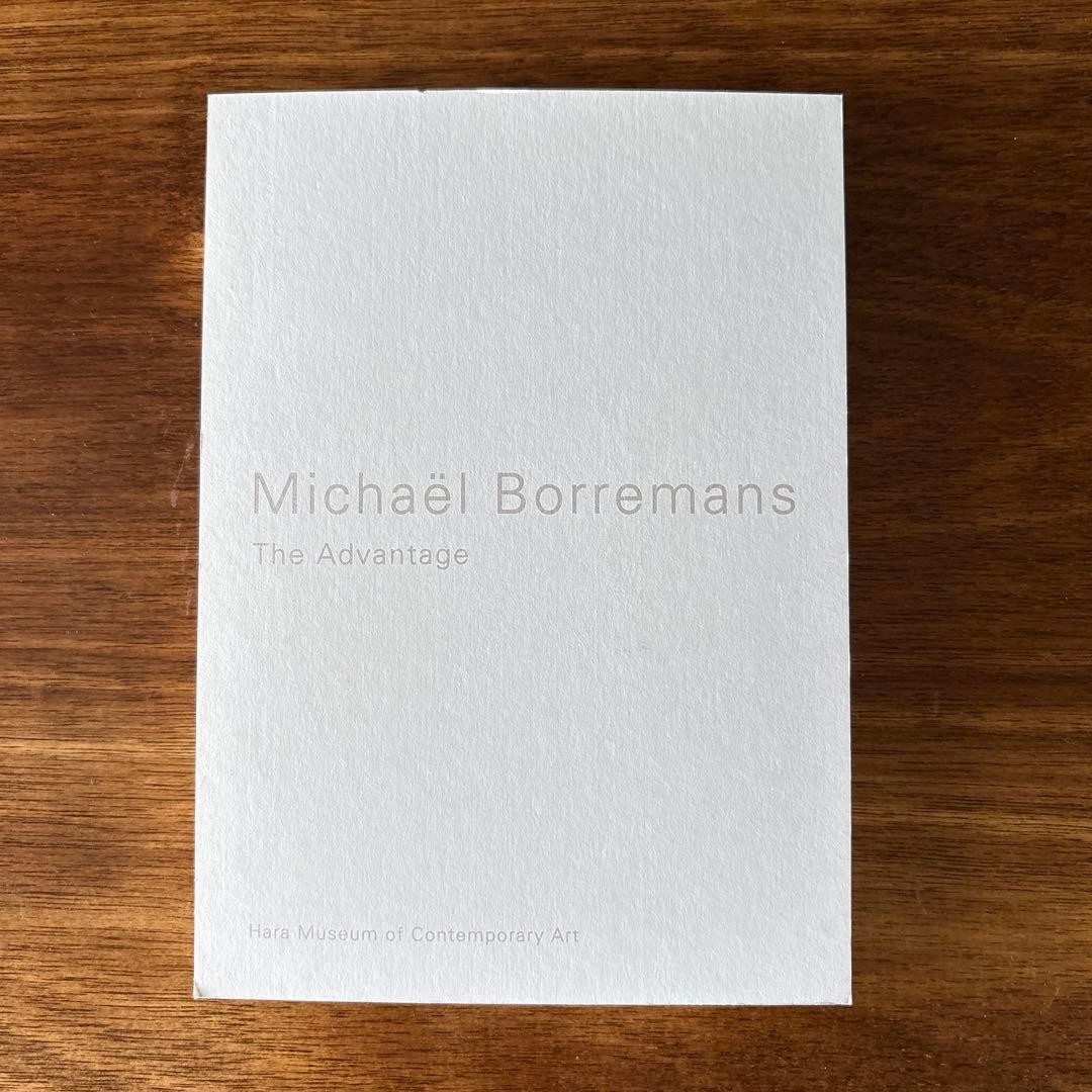Michael Borremans The Advantage Art Catalog 2014 Exhibition Book Used