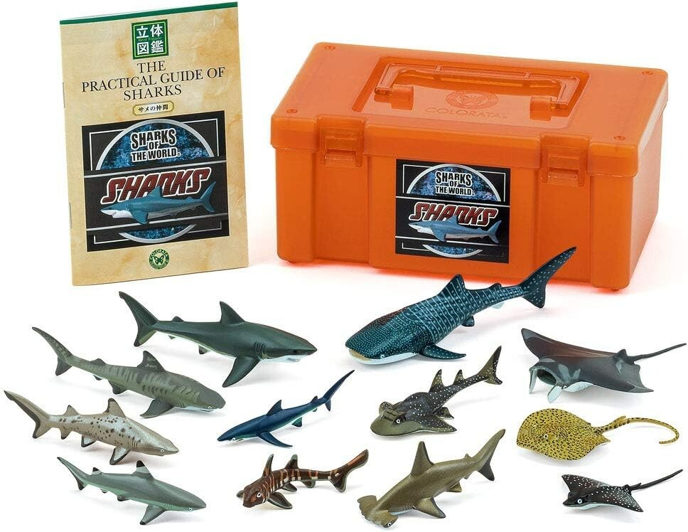 Colorata 975527 Real Figure box Set of 12 kind of Sharks w