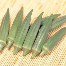 Okra Seeds 25 Jambalaya, (F1)  | Extra Early maturing | Abelmoschus esculentus