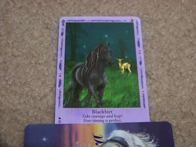 Bella Sara trading card - Native Lights - Blackfeet 31/55 - rare