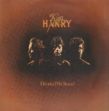 King Harry, Divided We Stand, (LP, Album, Win), NM or M-, 3820641287