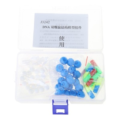 DNA Genetic Structure Models Double Helix DNA Models Set