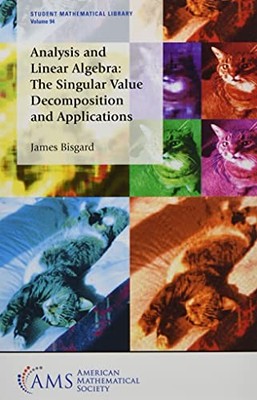 Analysis and Linear Algebra: The Singular Value Decomposition an