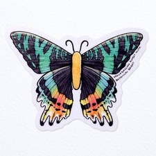 Madagascan Sunset Moth Sticker - Waterproof Vinyl Nature Decal - Laptops Decor