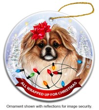 All Wrapped Up Ornament - Fawn and White Tibetan Spaniel
