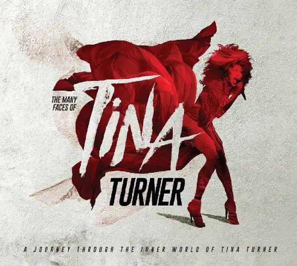 Turner, T: Many Faces Of Tina Turner | Tina. =Various= Turner | Audio-CD | CD - Bild 3