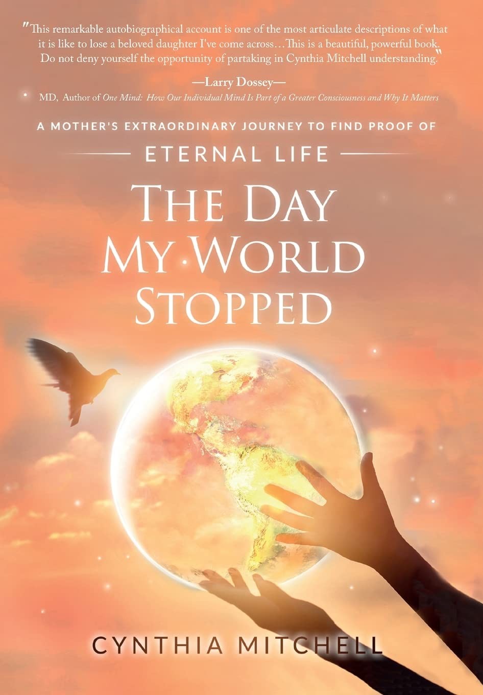 The Day My World Stopped: A Mother's Extraordin. Mitchell**