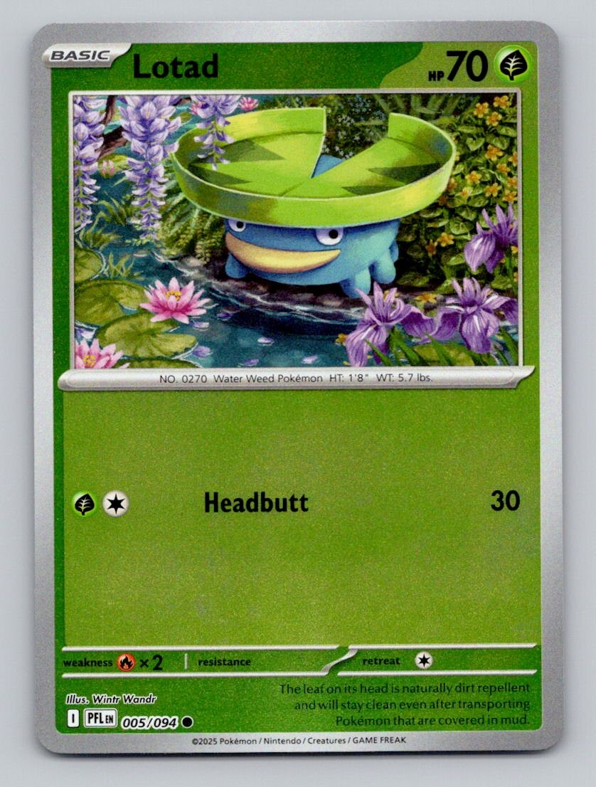 Reverse Holo Lotad 005/094 Common Phantasmal Flames Pokemon