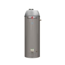 Rheem 50 Gal. Residential Gas Water Heater NG 40000 BtuH Prog50-40n Rh67  PDV for sale online | eBay