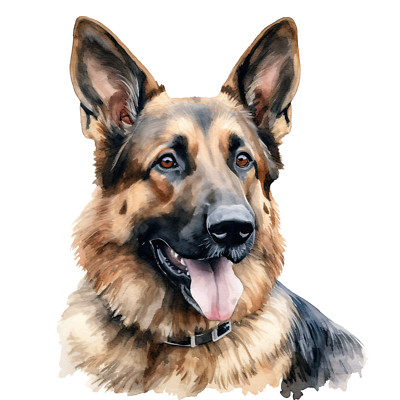 Autocollant Voiture Berger Allemand Déchiré 15 Cm Réfléchissant Imperméable Chien Animal Compagnie Pare-chocs