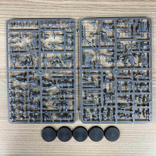 Warhammer 40.000 Space Marines Lupi Spaziali Guardia Lupo Testate