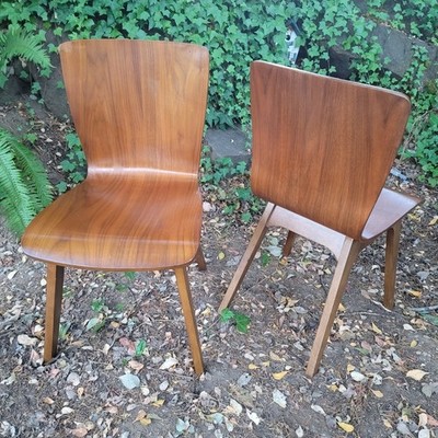 West Elm bentwood dining chairs set of