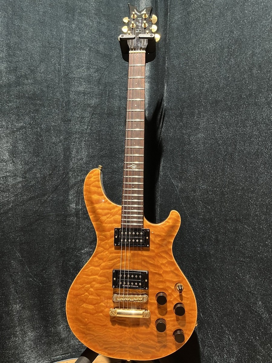 DEAN Hardtail Mod | eBay