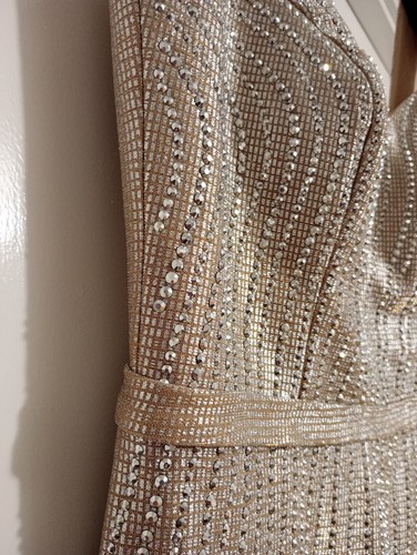 Olisha Prom Dress Size 14 New Beige Elegant - Picture 10 of 10