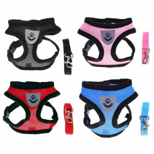4-Point Harness With 3" Wide Straps – Camo Design For Polaris RZR 900, Turbo, PRO XP