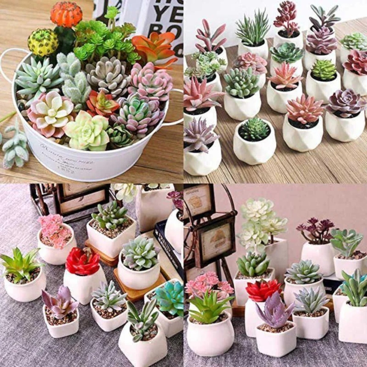 light with plant Sansi Pot Clip LED Grow Light for Indoor Growing, Home Growing CA 120V / 3-pack
