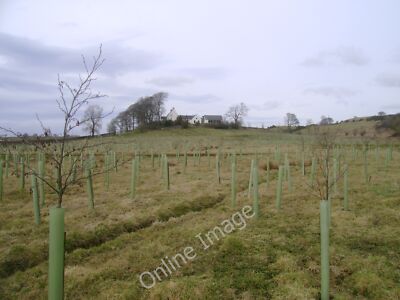 Photo 12x8 Plantation below Low Borland Dunlop This new plantation below L c2010
