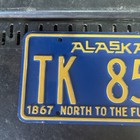 Alaska 1966 North To The Future License Plate 1867-1967 TK 8552  — photo 3