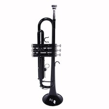 Nickel Plating Trumpet Gloves Set Black High Quality