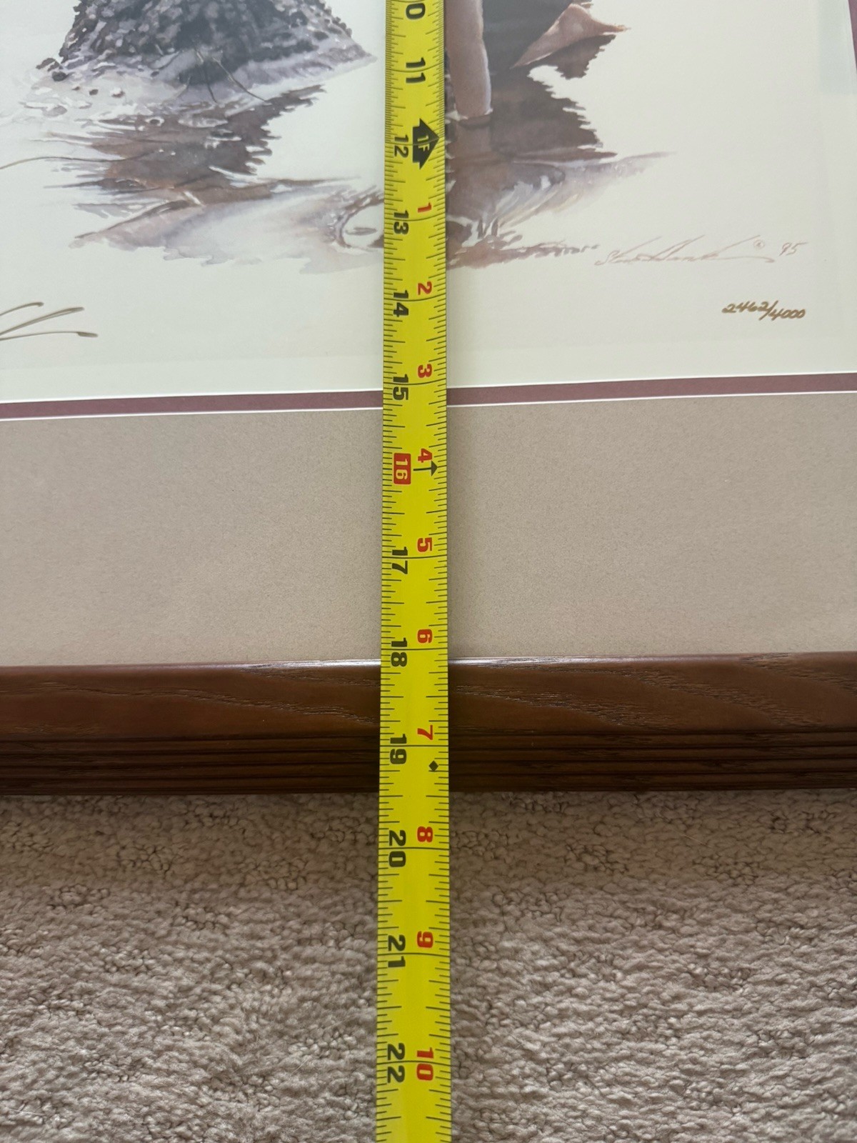 Picture 13 of 16
