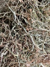 Meadow Hay 3kg Box sweet smelling, pet bedding, fodder/feed, garden mulch & more