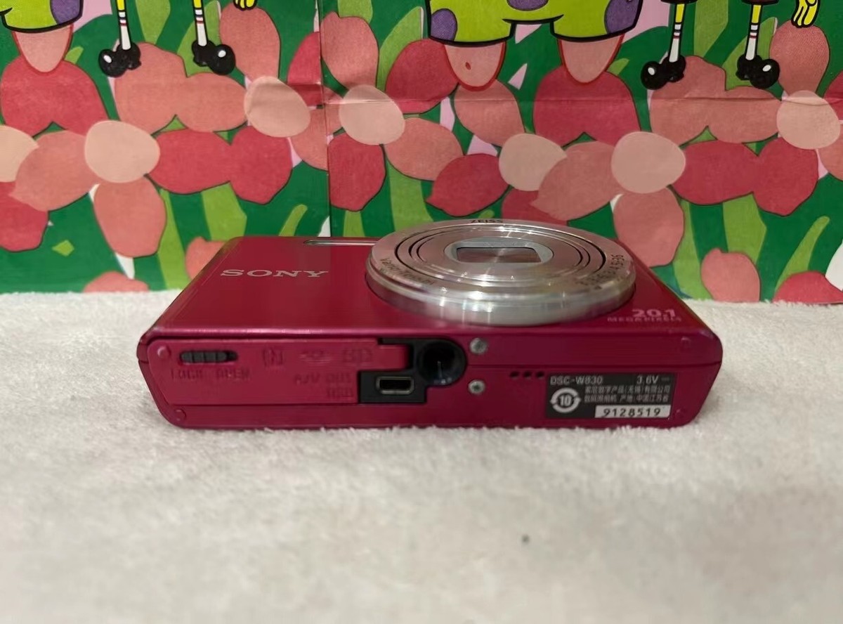 Sony Cybershot DSC-W830 20.1MP 8x Optical Zoom Digital Camera Red