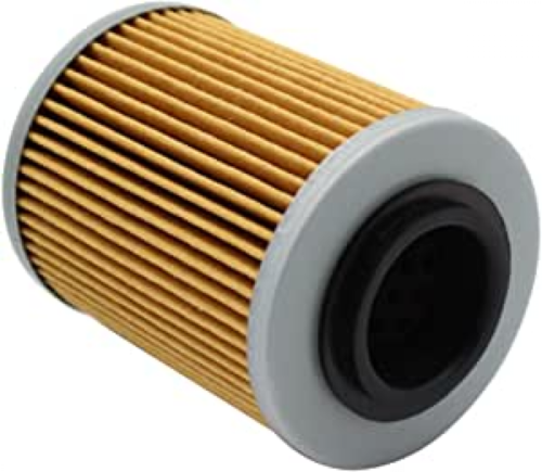 Oil Filter for Can-Am DS650 Renegade 500 570 650 800 800R 850 1000 1000R - Zdjęcie 1 z 3