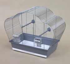 Exotic Canary Inseparable Bird Cage