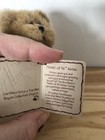 Boyds Bears YOU DID IT Shirt 4" Mini Brown Bear Thinking Of Ya Series Graduation — photo 4