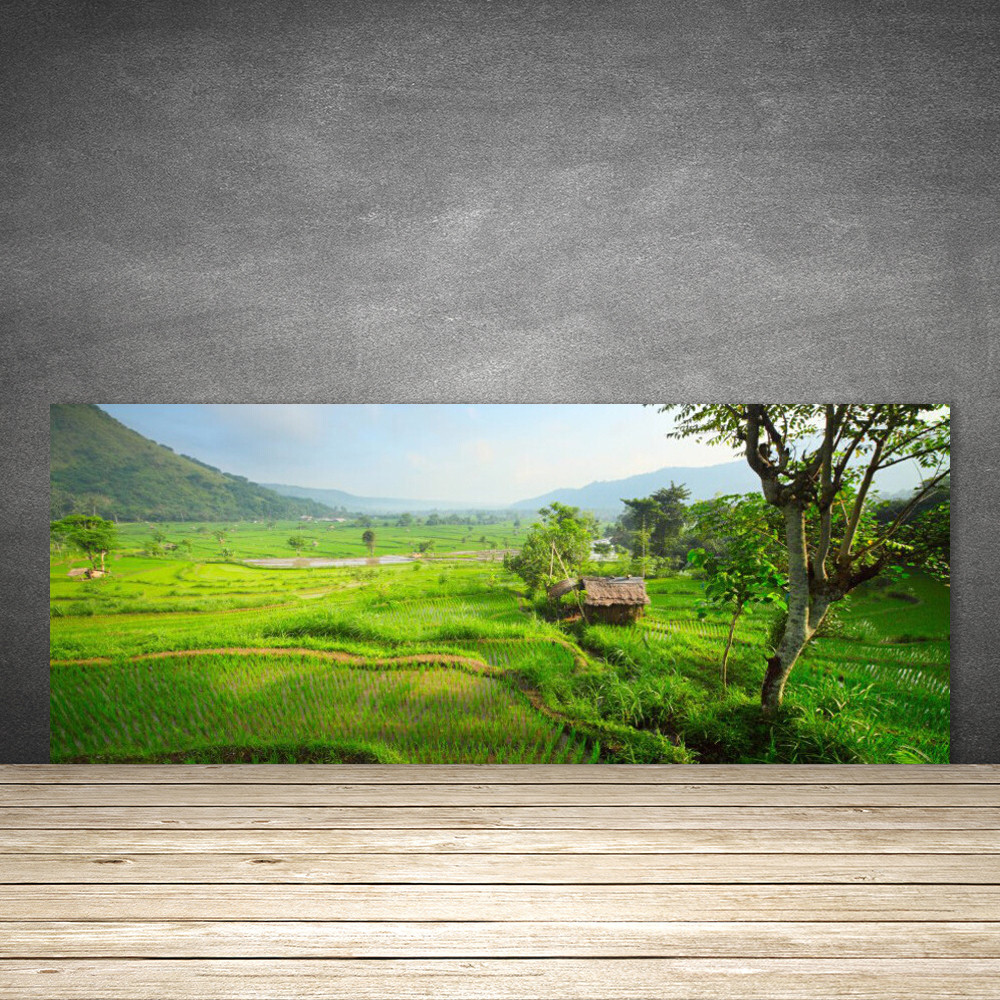 Crédence de cuisine en verre trempé 125x50 panneau mural prairie