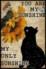 Tin Signs Vintage Bathroom Funny Funny Cat Tin Sign Sunflower Black Cat You are