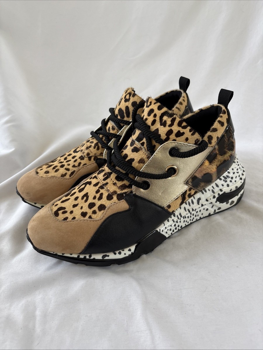 Womens Sneakers Steve Madden Cheetah Shoes STEVE MADDEN Sneakers