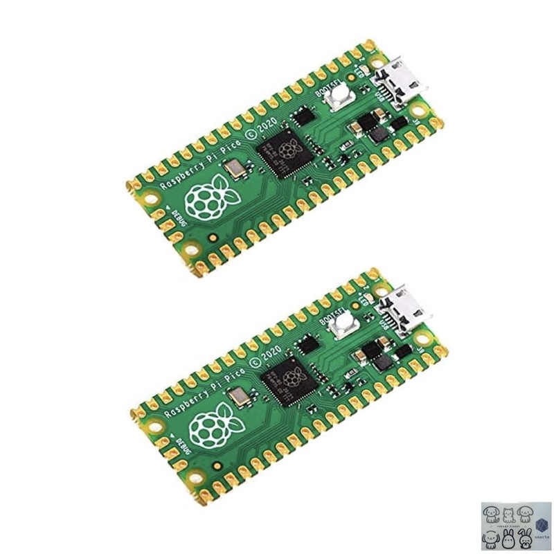 Raspberry Pi Pico Microcontroller Set of 2 FROM JAPAN