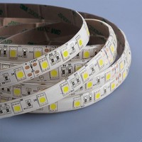 Mextronic Led Strip 5050 Kaltweiß (6000K) 72W 500CM 24V IP44 Led Streifen