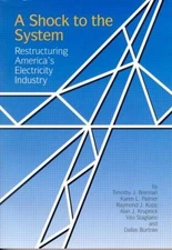 A Shock to the System: Restructuring America's Electricity Industry by Timothy J