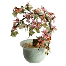 Chinese Bonsai Jade Tree in Celadon Pot