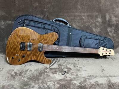 Electric Guitar Dragonfly Border 666 Gloss Natural Maple