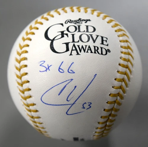 Christian Walker Signed "3x GG" Gold Glove Award Logo Official MLB Baseball