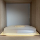 Tupperware FrischeMaX/CheeSmart Käse-Frischhaltebox Flach Scheibenkäse-Max Gelb